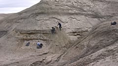 Archives : Chercheurs en train d'étudier des strates de sédiment, le 14 août 2006 dans la région de Cap Copenhague au Groenland, 