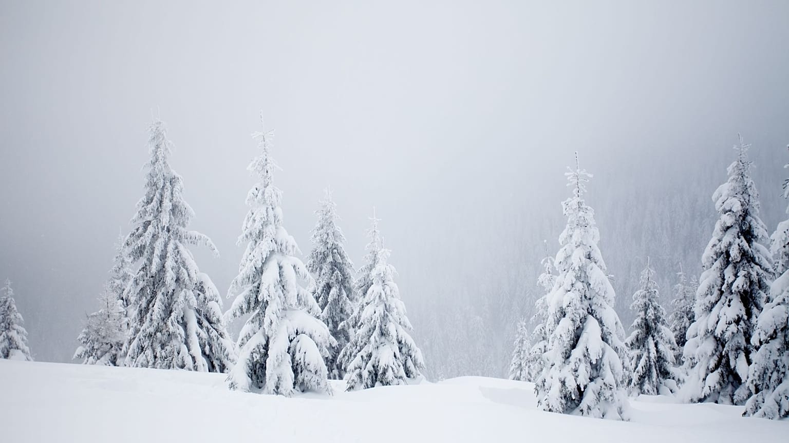 Climate change is wreaking havoc with weather patterns year round. What will it do to chances of a White Christmas?