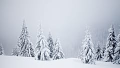 Climate change is wreaking havoc with weather patterns year round. What will it do to chances of a White Christmas?