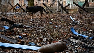 Ein Hund streunt in Bachmut, im Vordergrund sind Kampfmittel zu sehen