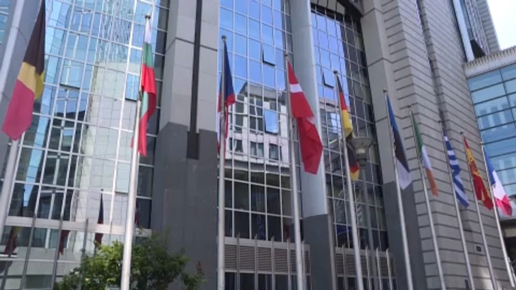 EU Parliament vice-president Eva Kaili in custody for alleged 'bags of ...