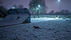 Winterwetter in Europa