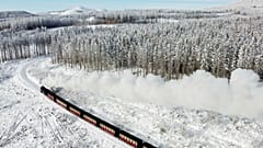 Extremely hot or cold weather increases the risk of death from cardiovascular disease