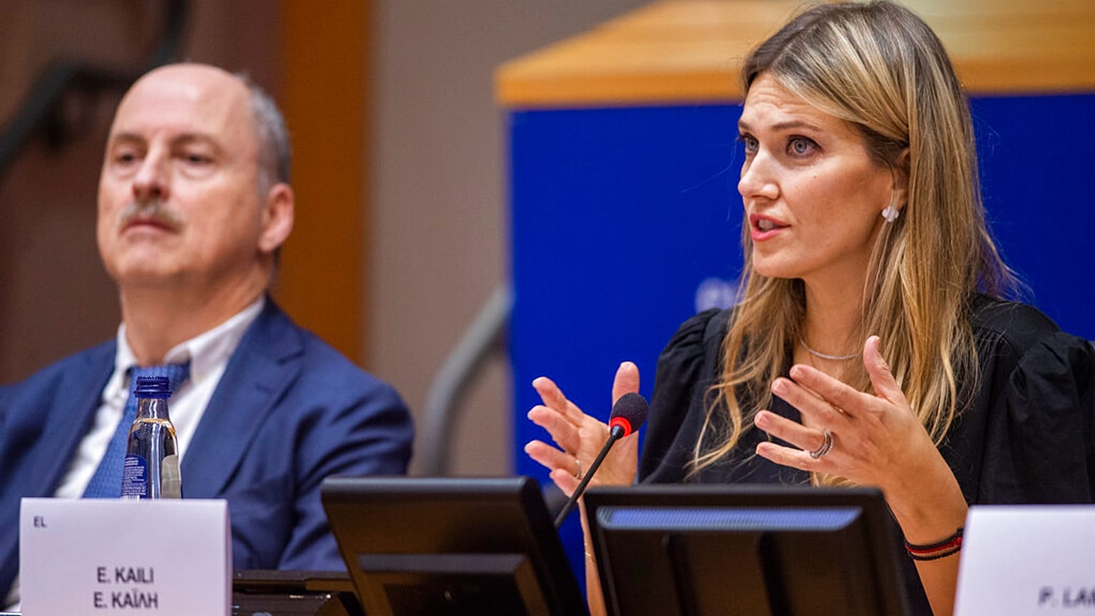 H E. Kα¨ϊλή σε παλαιότερη συνεδρίαση του ευρωκοινοβουλίου