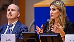 H E. Kα¨ϊλή σε παλαιότερη συνεδρίαση του ευρωκοινοβουλίου