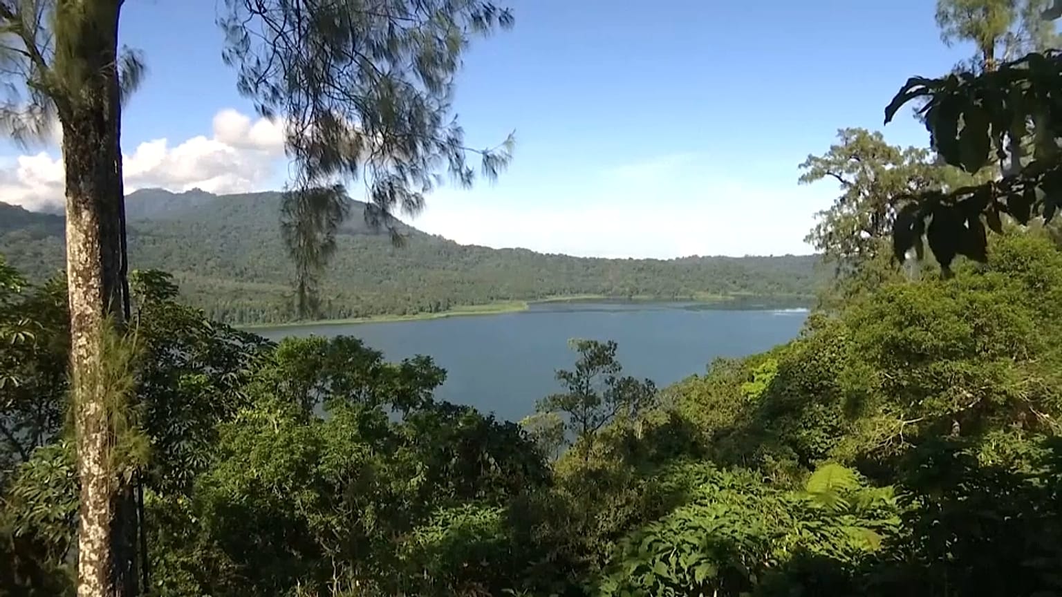 extract video