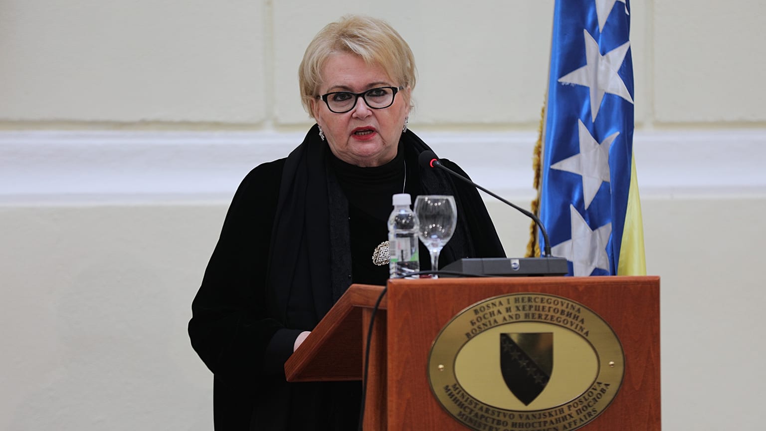 Bosna Hersek Dışişleri Bakanı Bisera Turkovic