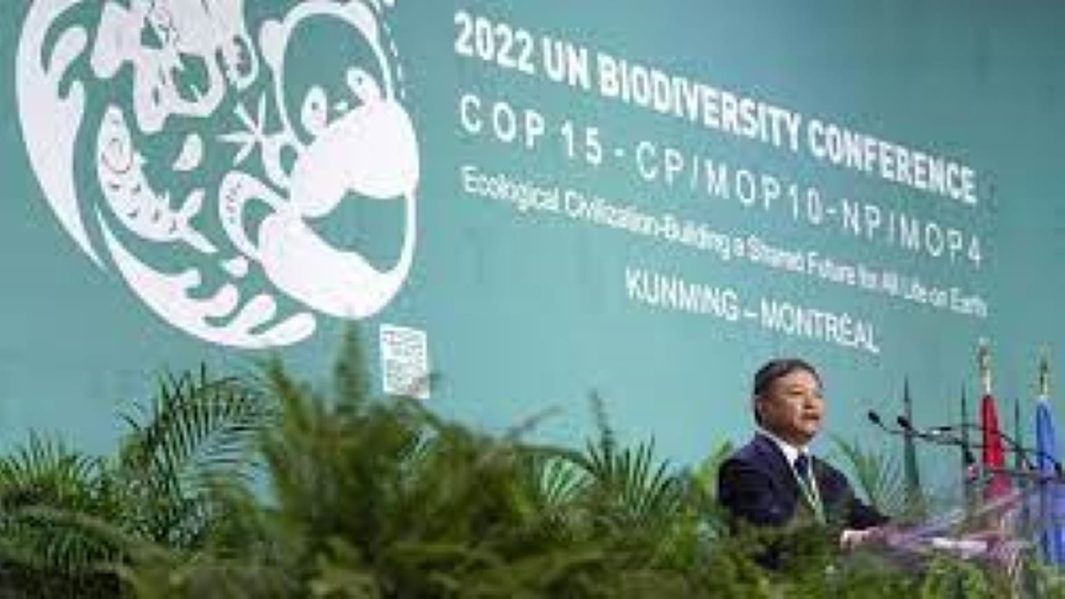 COP15, Canada