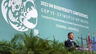 COP15, Canada