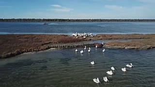 Difesa degli habitat