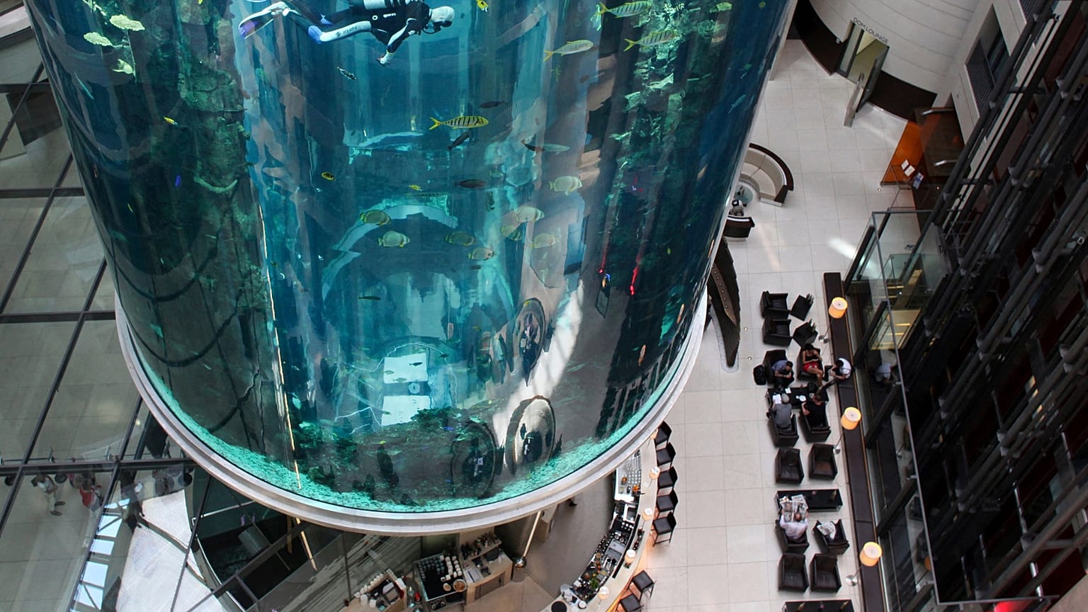 A diver cleaning the AquaDom aquarium in Berlin in 2011