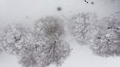 Schnee tut den Menschen gut