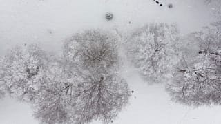 Schnee tut den Menschen gut