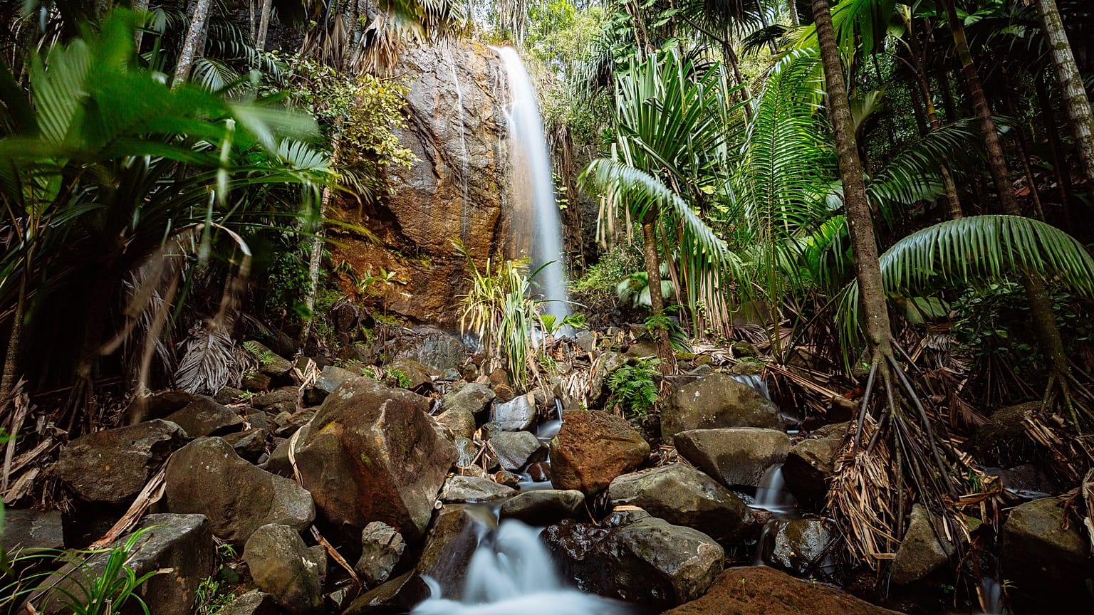 Cascade dans la forêt de la Vallée de Mai, Praslin