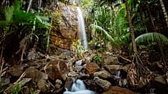 Cascada en el bosque del Valle de Mai, Praslin