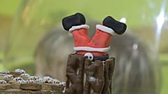Ein Detail aus der Ausstellung "The Gingerbread City", Museum of Architecture, London 