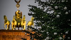 Dem Weihnachtsbaum am Potsdamer Platz fehlt die Spitze