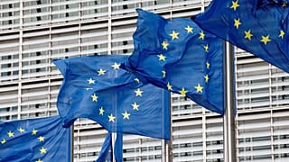 Germany's renewable energy scheme is aimed at rapidly expanding use of wind and solar power.