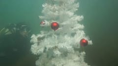 Euronews
