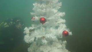 Euronews