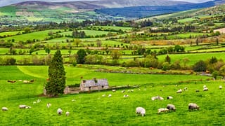 This was the world’s first citizens’ assembly on biodiversity loss.
