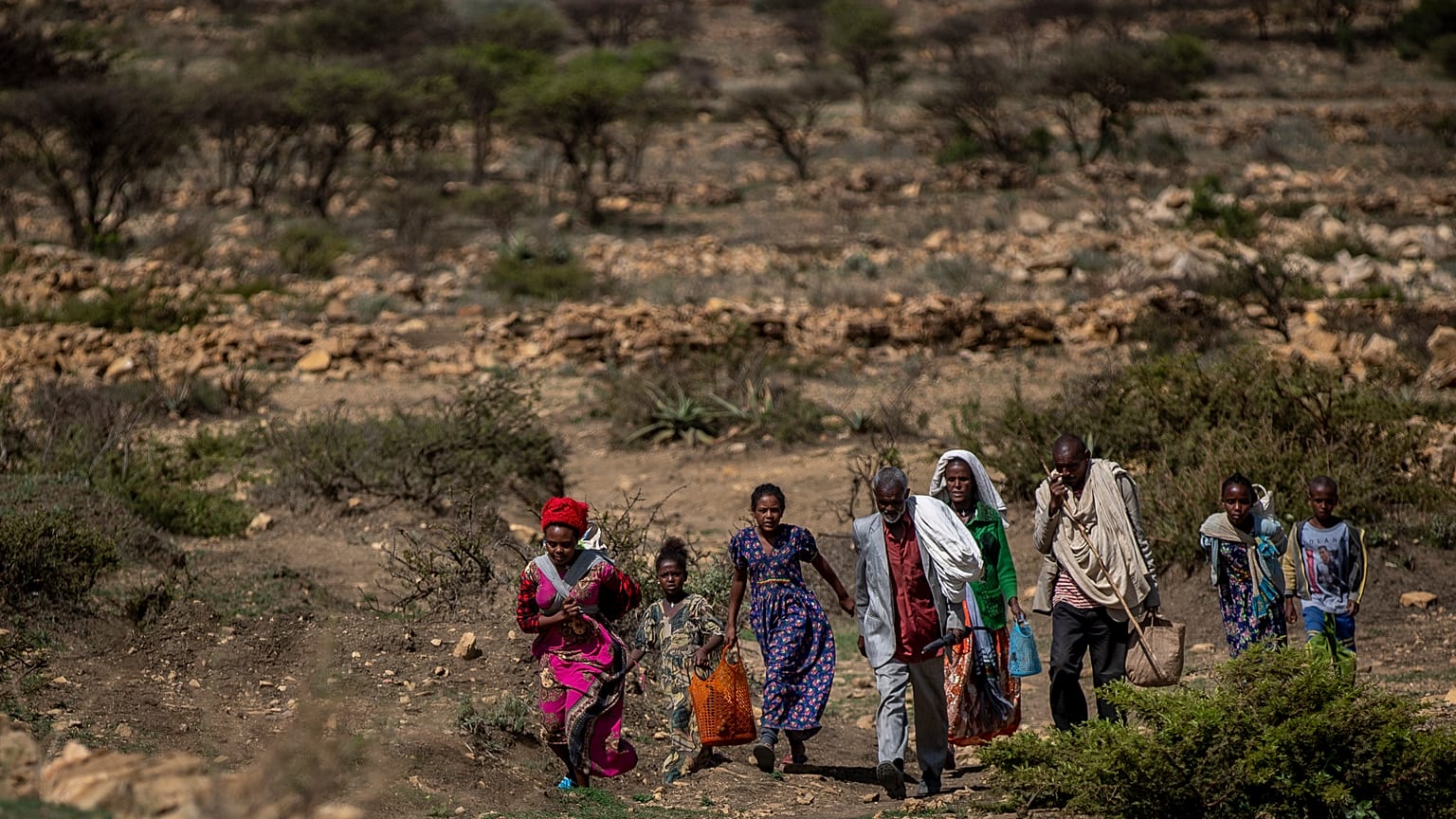 أشخاص يسيرون من منطقة ريفية نحو بلدة مجاورة حيث يتم توزيع المواد الغذائية التي تديرها جمعية الإغاثة في تيغراي