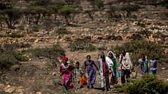 أشخاص يسيرون من منطقة ريفية نحو بلدة مجاورة حيث يتم توزيع المواد الغذائية التي تديرها جمعية الإغاثة في تيغراي