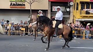 El Tope' conmemora la tradición ecuestre de Costa Rica desde la época colonial, cuando los caballos eran necesarios para moverse por el país o trabajar en el campo.