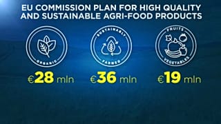Gli investimenti dell'Unione europea per l'agricoltura sostenibile.