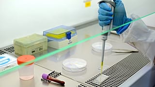 Sperm dondurma çalışmaları (arşiv)