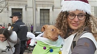 La marcha San Perrestre