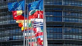 Флаги стран ЕС у здания Европарламента в Страсбурге