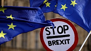 Manifestants anti-Brexit à Londres, le 29 janvier 2013.