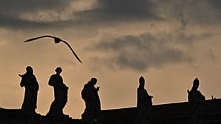 A bird flies above St. Peters basilica in the Vatican, on January 3, 2023.