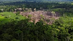 Área de desflorestação recente identificada na Reserva Extractiva Chico Mendes, Estado do Acre, Brasil