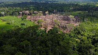 Área de desflorestação recente identificada na Reserva Extractiva Chico Mendes, Estado do Acre, Brasil