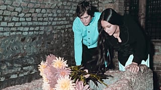 حضور اولیویا هاسی و لئونارد وایتینگ بر مزار ژولیت؛ ۱۹۶۸
