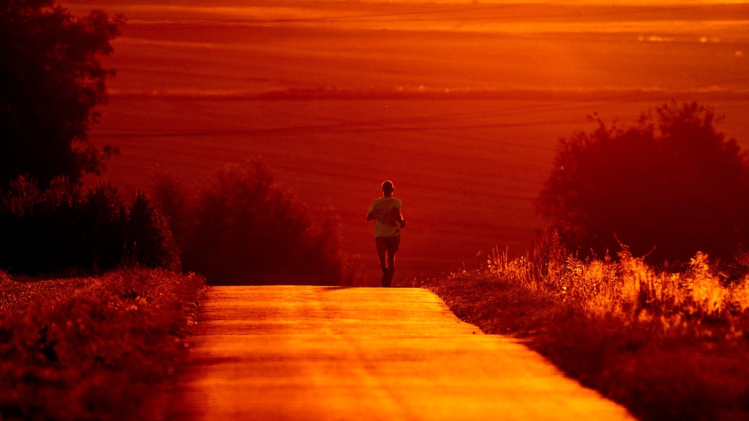 L'emergenza caldo in Germania
