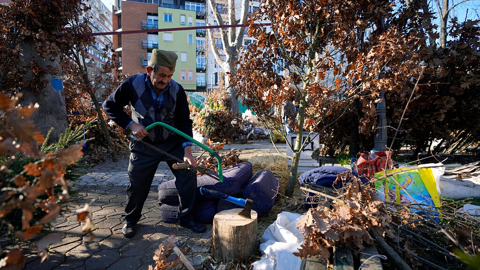 A vendor, wearing a traditional Serbian hat, prepares dried oak branches - the Yule log symbol - for the Orthodox Christmas Eve in Belgrade, Serbia, Friday, Jan. 6, 2023. 