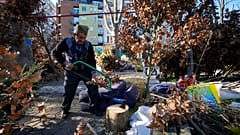 A vendor, wearing a traditional Serbian hat, prepares dried oak branches - the Yule log symbol - for the Orthodox Christmas Eve in Belgrade, Serbia, Friday, Jan. 6, 2023. 