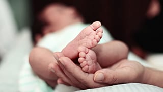 عکس تزیینی است