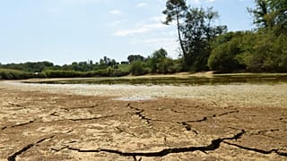 La France a connu une importante vague de chaleur et de sécheresse durant l'été 2022.