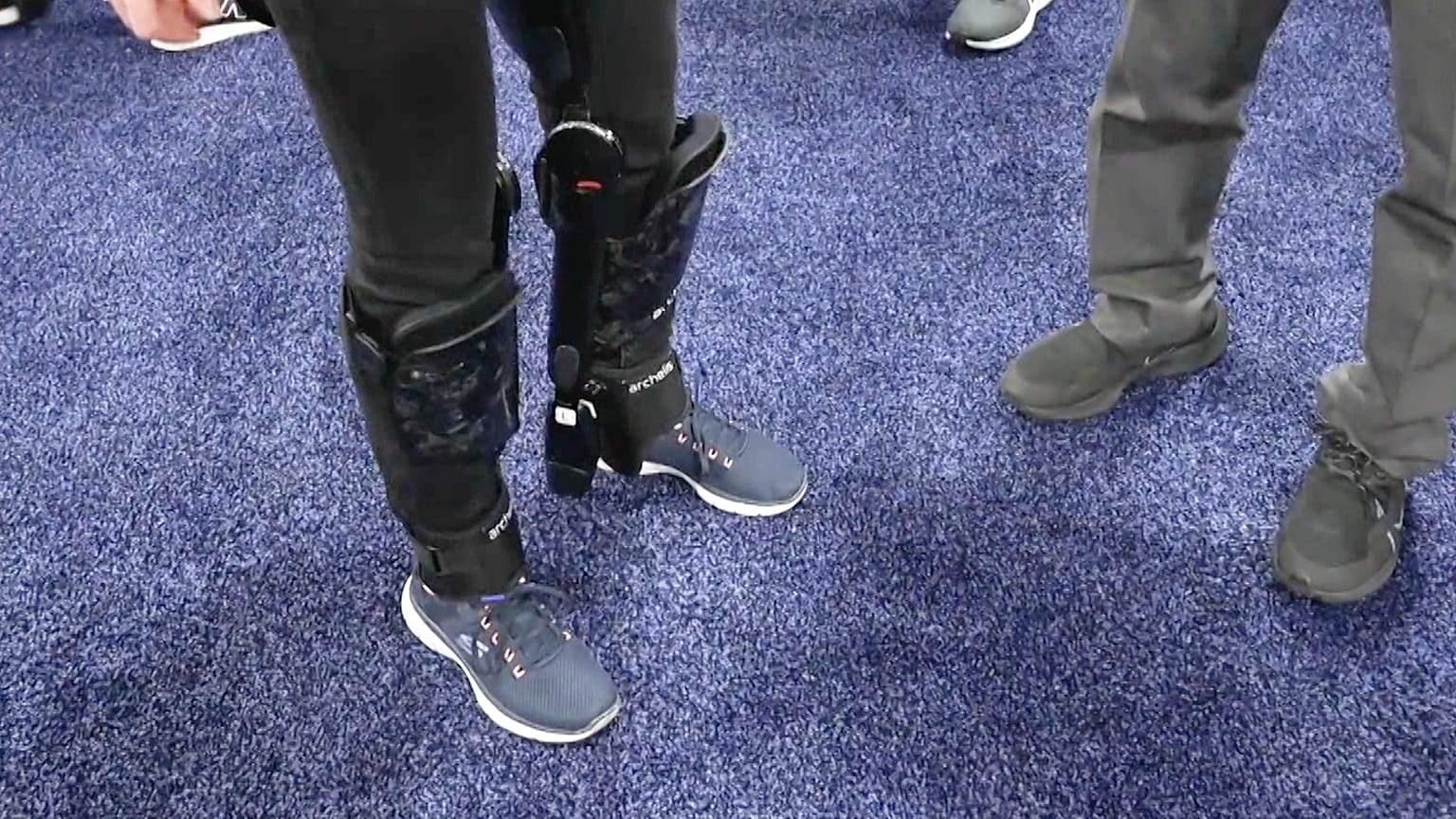 Image shows Archelis' exoskeleton.