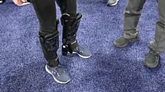 Image shows Archelis' exoskeleton.