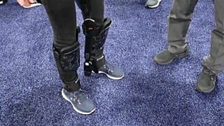 Image shows Archelis' exoskeleton.