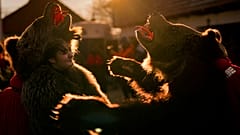 People wearing bear fur costumes prepare to take part in a parade showcasing regional winter traditions in Comanesti, northeastern Romania, Friday, Dec. 30, 2022. 