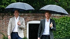 In Prince Harry's new memoir, he claims he and his brother Prince William had a physical altercation.