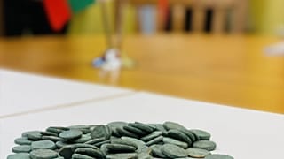 Milattan önce 1. yüzyıldaki Pontus Krallığı dönemine ait olduğu belirlenen sikkelerin, askerlere yapılan ödemelerde kullanıldığı belirlendi