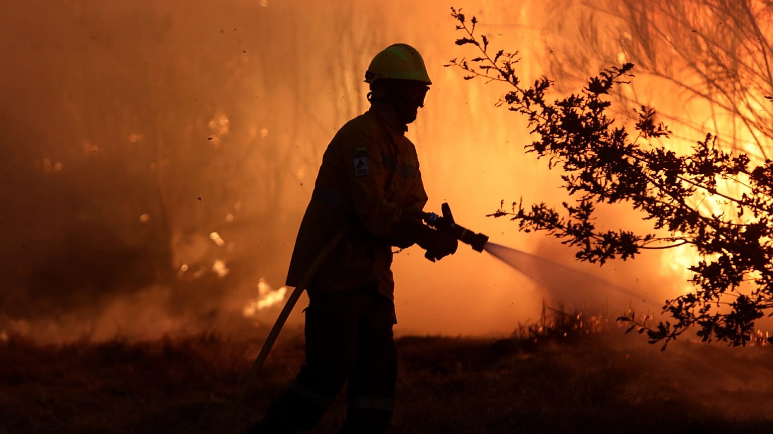 Gli Stati dell'Unione europea hanno speso complessivamente 30,9 miliardi di euro per i servizi antincendio nel 2019, lo 0,5% del loro budget