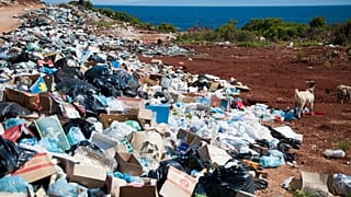 Researchers say it is a ‘game-changer’ in the transition to a circular economy.